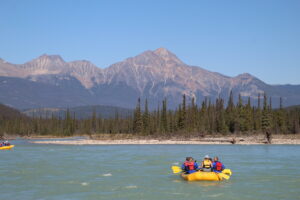 Class II whitewater rafting on the Athabasca River in Jasper, with beautiful mountain scenery