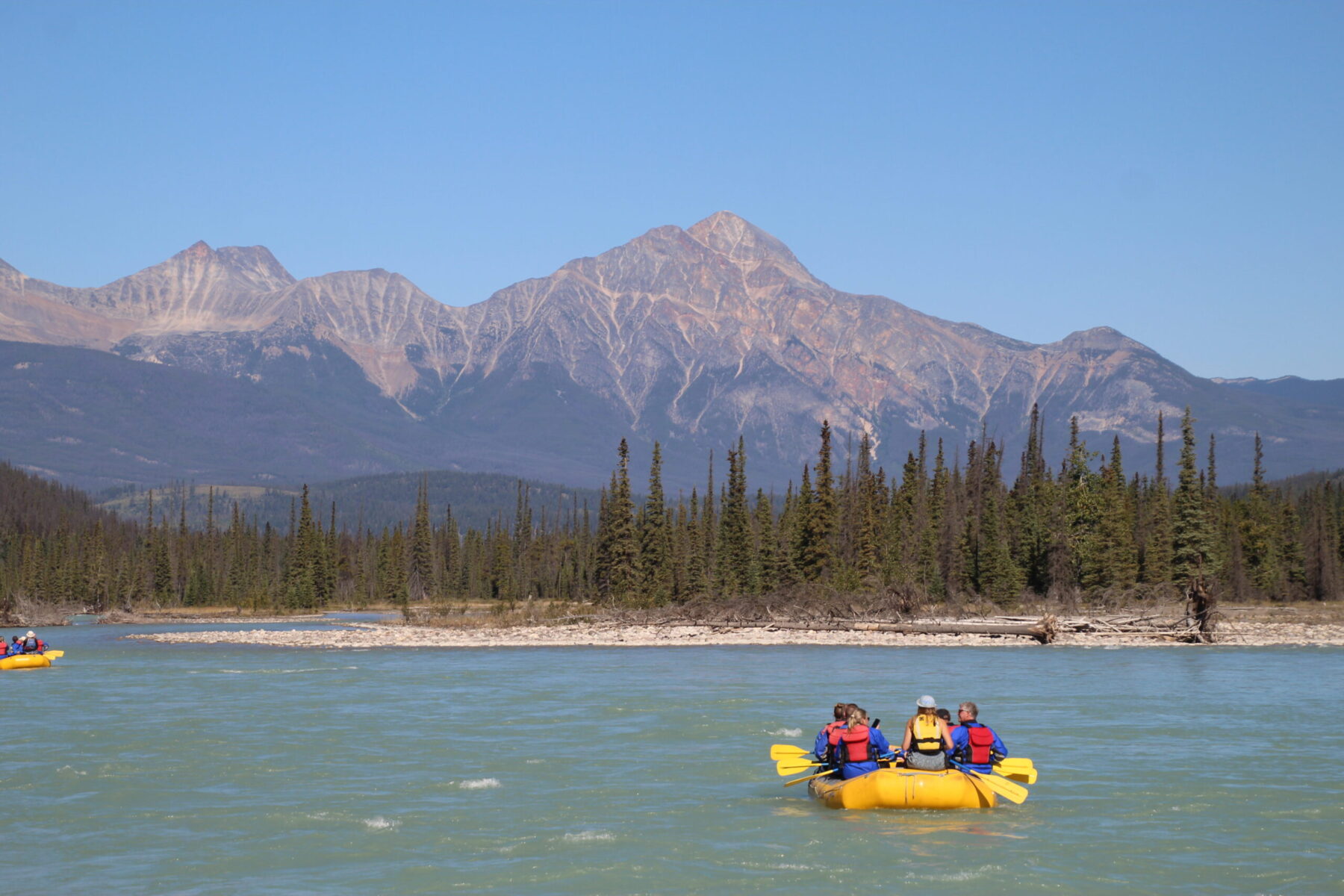 Whitewater rafting on the Mile 5 Athabasca River in Jasper National Park with guests paddling through rapids