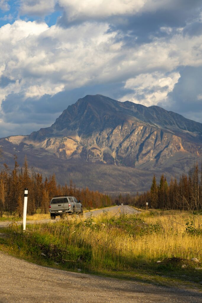 Mount Hardisty Jasper after wildfire