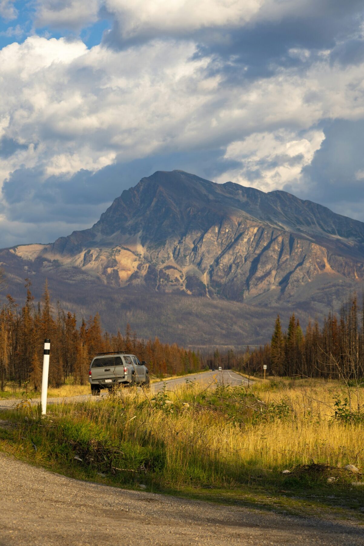 Mountain highway through a dense conifer forest in the Canadian Rockies