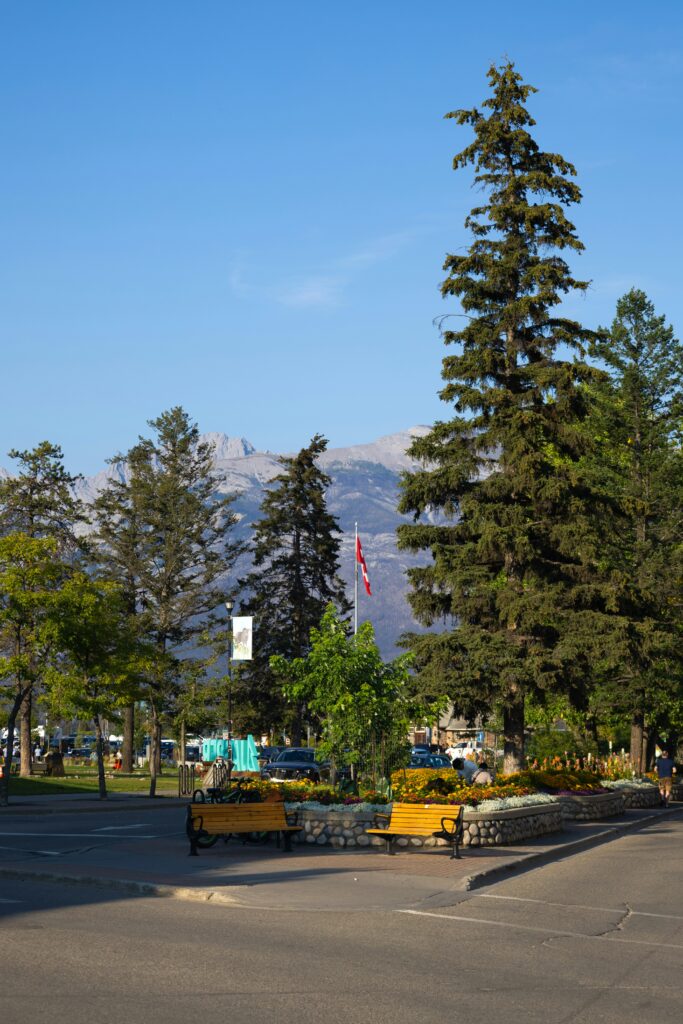 downtown jasper visitor center with mountain views