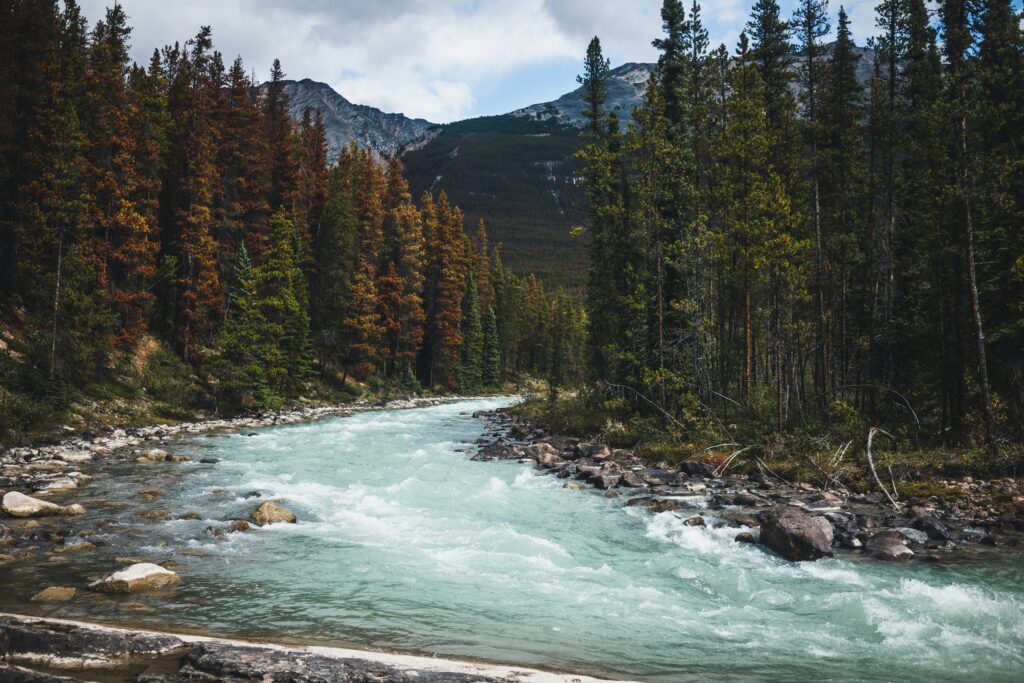 turquoise river in jasper national park