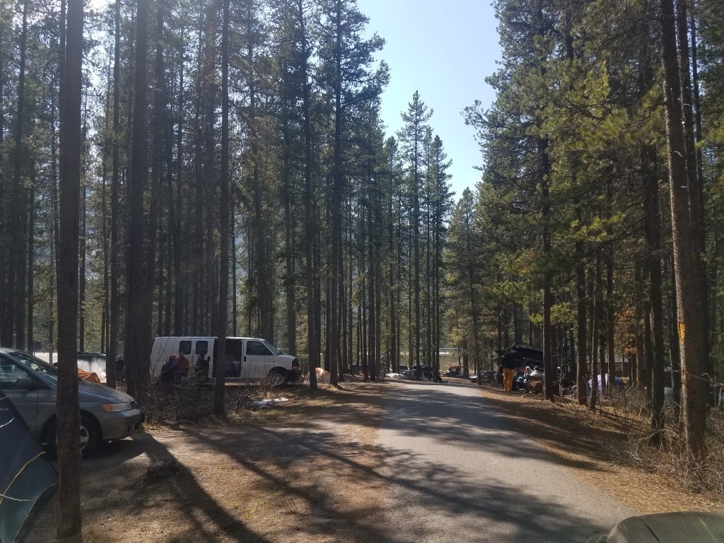 jonas creek campground in jasper national park