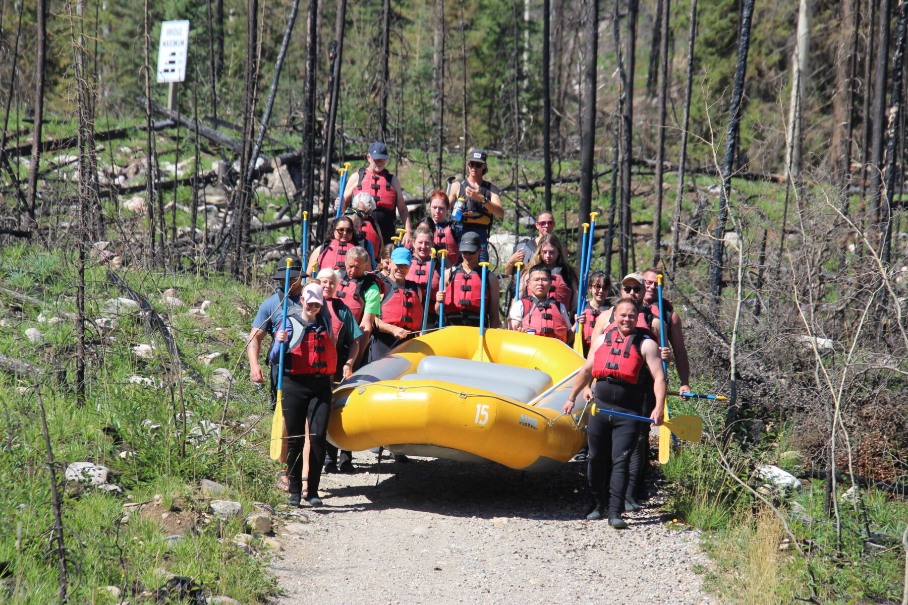 Mountain river canyon with rushing white water and forested valley walls in late spring